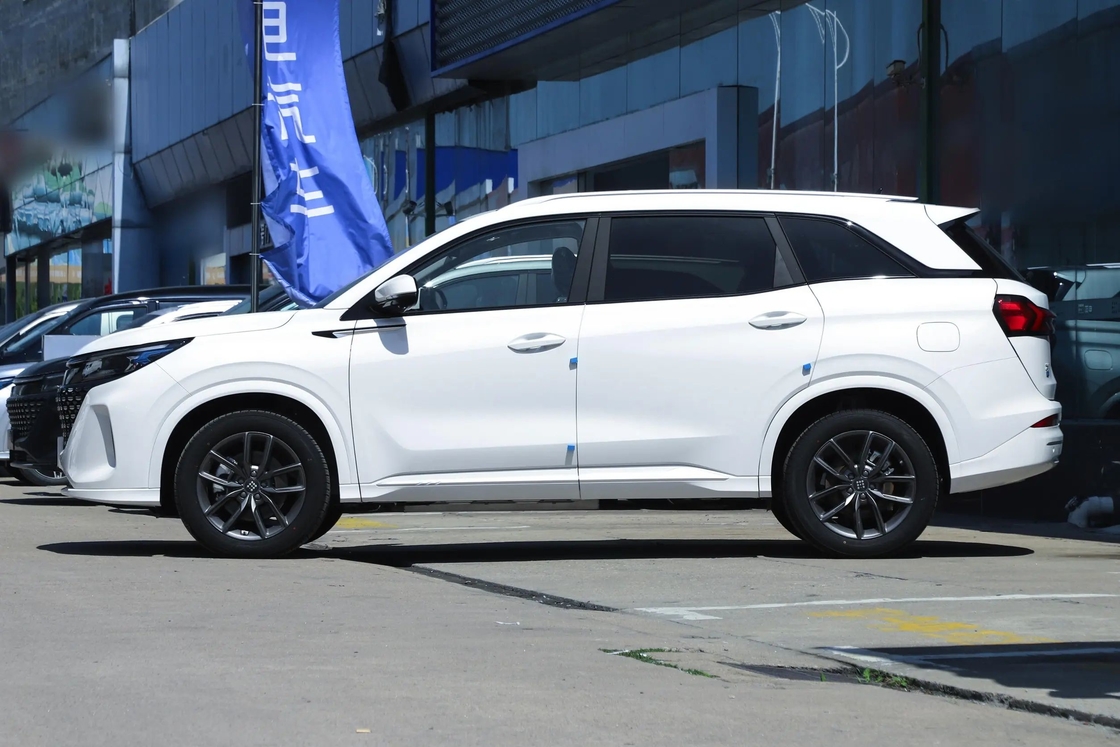 Blue Electric E5 Seres elektrische auto voor betaalbaar en emissievrij rijden