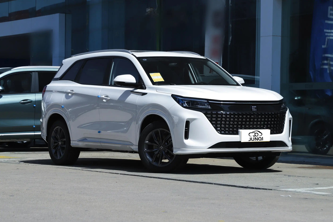 5 zitplaatsen AWD Seres Elektrische auto SUV 120 pk En emissievrij rijden