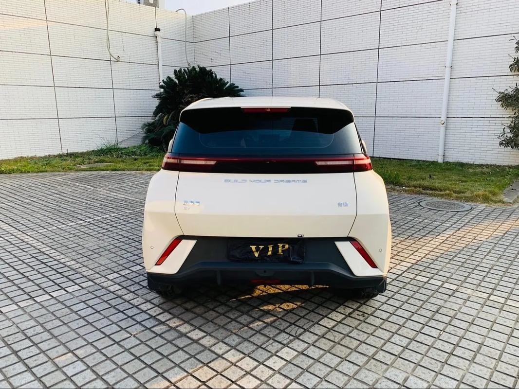 Byd Seagull 2024 Honor Edition 305km Gratis Edition Elektrische auto Nieuwe energievoertuigen